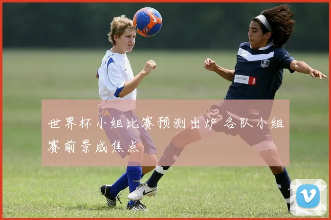 世界杯小组比赛预测出炉 各队小组赛前景成焦点