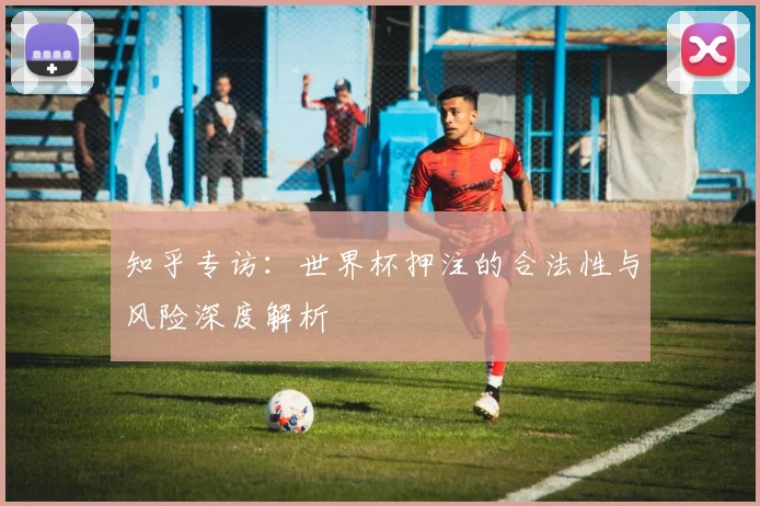 知乎专访：世界杯押注的合法性与风险深度解析