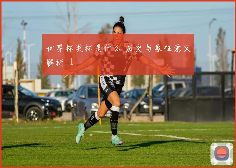 世界杯奖杯是什么 历史与象征意义解析_1