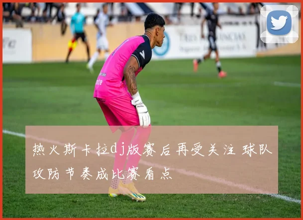 热火斯卡拉dj版赛后再受关注 球队攻防节奏成比赛看点