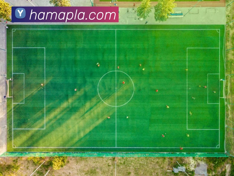 买球官方平台生态图