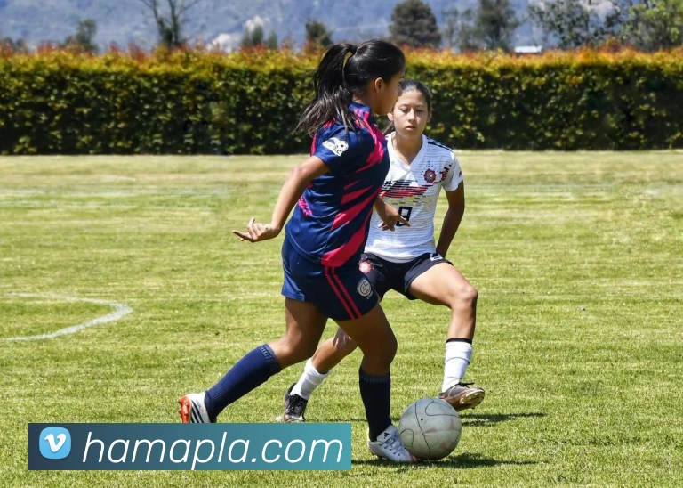 买球官方APP 封面图